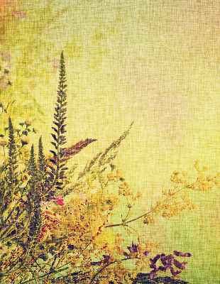 Rolgordijn voor het raam Planten