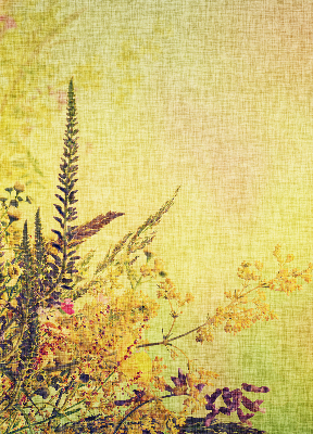 Rolgordijn voor het raam Planten