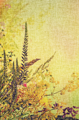 Rolgordijn voor het raam Planten