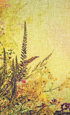 Rolgordijn voor het raam Planten