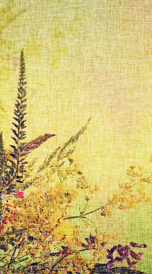 Rolgordijn voor het raam Planten