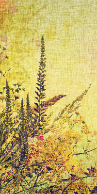 Rolgordijn voor het raam Planten