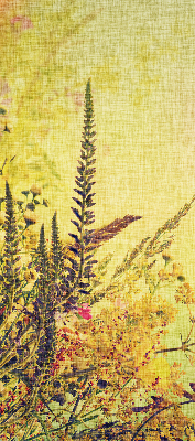 Rolgordijn voor het raam Planten