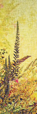 Rolgordijn voor het raam Planten