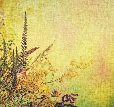 Rolgordijn voor het raam Planten