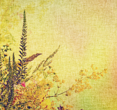 Rolgordijn voor het raam Planten