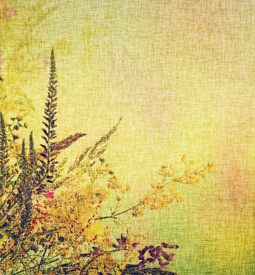 Rolgordijn voor het raam Planten