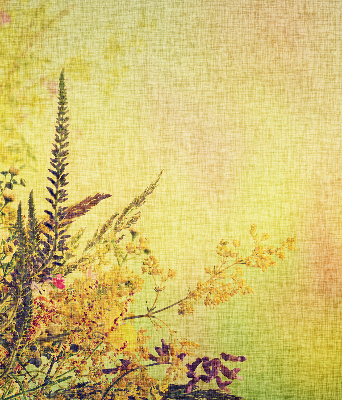 Rolgordijn voor het raam Planten