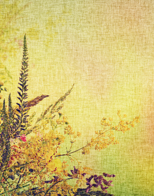 Rolgordijn voor het raam Planten