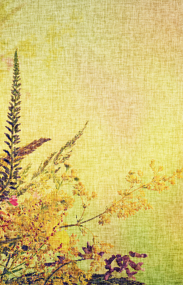 Rolgordijn voor het raam Planten