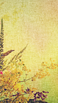 Rolgordijn voor het raam Planten