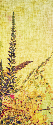 Rolgordijn voor het raam Planten