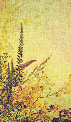 Rolgordijn voor het raam Planten