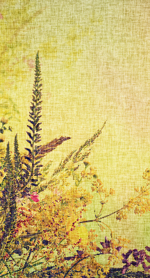 Rolgordijn voor het raam Planten