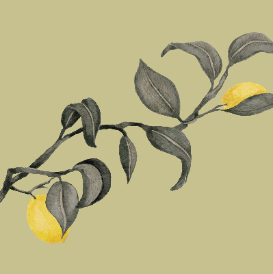 Rolgordijn verduisterend Citroenen aan de boom