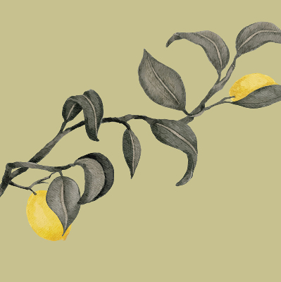 Rolgordijn verduisterend Citroenen aan de boom