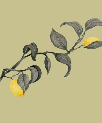 Rolgordijn verduisterend Citroenen aan de boom