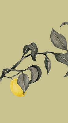 Rolgordijn verduisterend Citroenen aan de boom