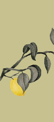 Rolgordijn verduisterend Citroenen aan de boom