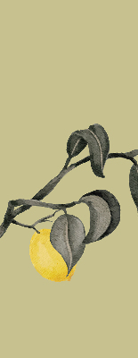 Rolgordijn verduisterend Citroenen aan de boom