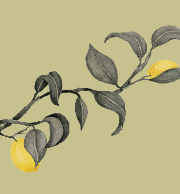 Rolgordijn verduisterend Citroenen aan de boom