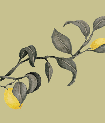 Rolgordijn verduisterend Citroenen aan de boom