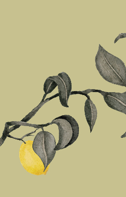 Rolgordijn verduisterend Citroenen aan de boom