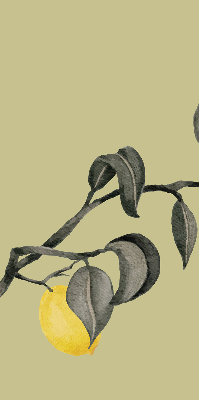 Rolgordijn verduisterend Citroenen aan de boom