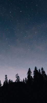 Rolgordijn verduisterend Sterrenhemel