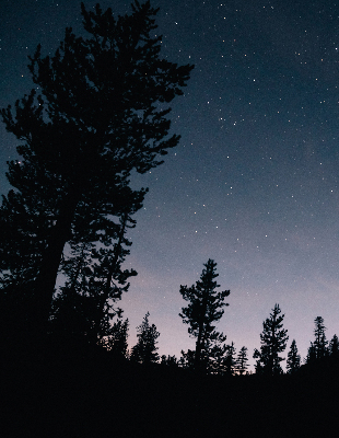 Rolgordijn verduisterend Sterrenhemel