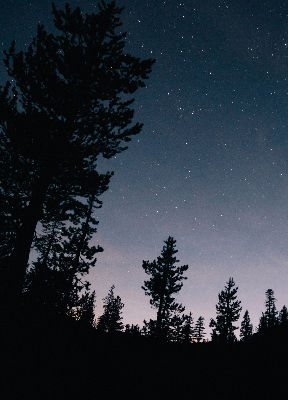 Rolgordijn verduisterend Sterrenhemel