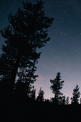 Rolgordijn verduisterend Sterrenhemel