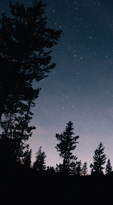 Rolgordijn verduisterend Sterrenhemel