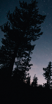 Rolgordijn verduisterend Sterrenhemel