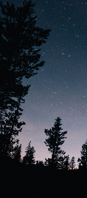 Rolgordijn verduisterend Sterrenhemel