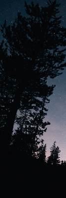 Rolgordijn verduisterend Sterrenhemel