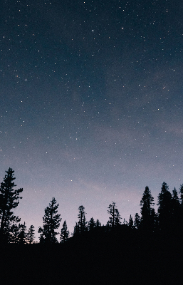 Rolgordijn verduisterend Sterrenhemel