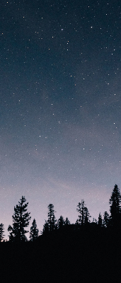 Rolgordijn verduisterend Sterrenhemel