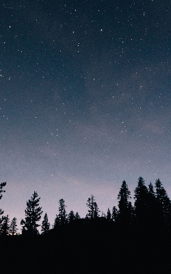 Rolgordijn verduisterend Sterrenhemel