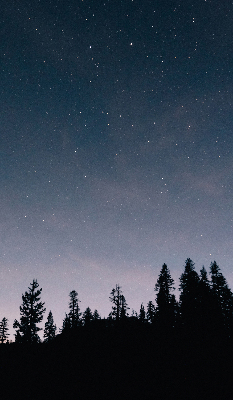 Rolgordijn verduisterend Sterrenhemel