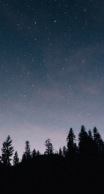 Rolgordijn verduisterend Sterrenhemel