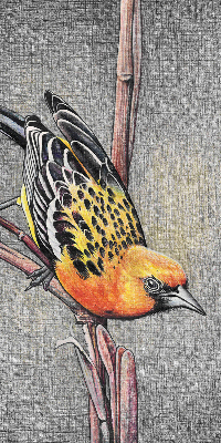 Rolgordijn voor het raam Een vogel op een tak