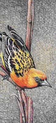 Rolgordijn voor het raam Een vogel op een tak