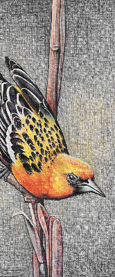 Rolgordijn voor het raam Een vogel op een tak