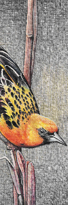 Rolgordijn voor het raam Een vogel op een tak