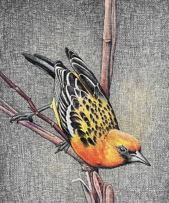 Rolgordijn voor het raam Een vogel op een tak