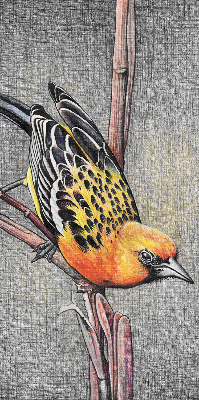 Rolgordijn voor het raam Een vogel op een tak