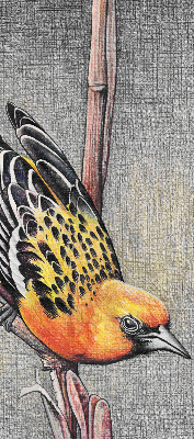 Rolgordijn voor het raam Een vogel op een tak