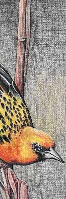 Rolgordijn voor het raam Een vogel op een tak