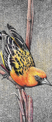 Rolgordijn voor het raam Een vogel op een tak